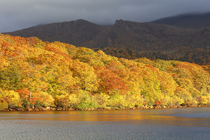 Lake Sugawa in autumn leaves, Akita Prefecture