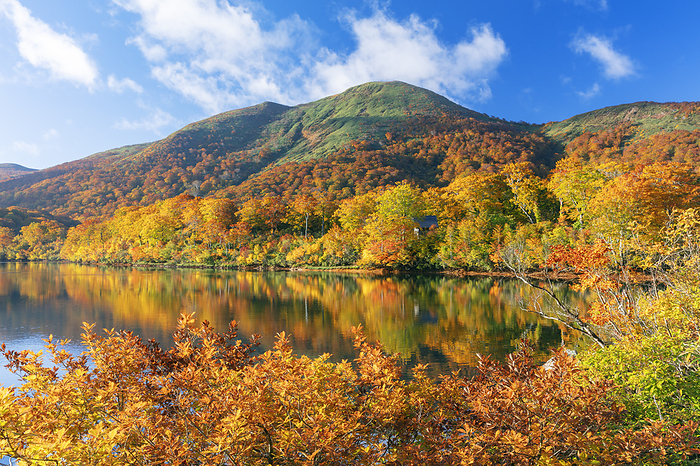 Akita Prefecture: Morning view of Mount Modo from Lake Sugawa in autumn leaves