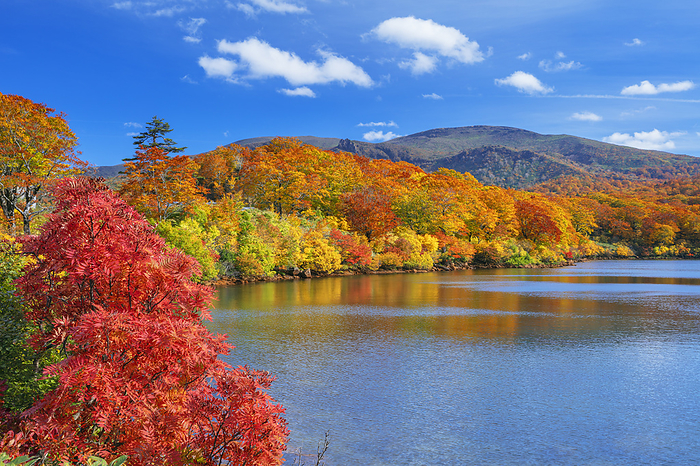 Mt. Kurikoma from Lake Sugawa in autumn leaves, Akita Prefecture
