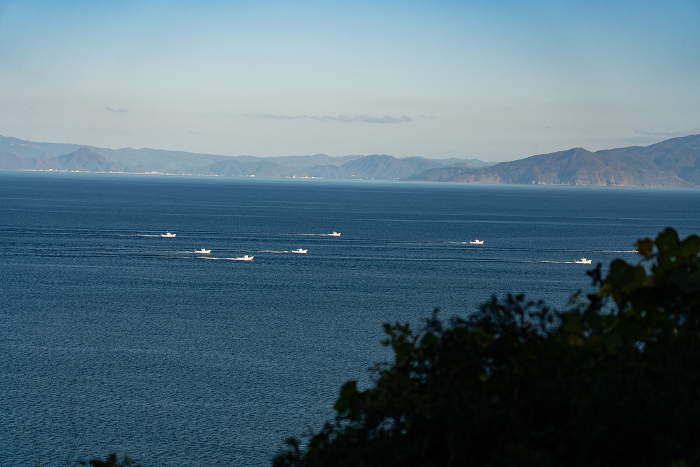 A fleet of sakura shrimp fishing boats sailing in Suruga Bay Shizuoka Prefecture