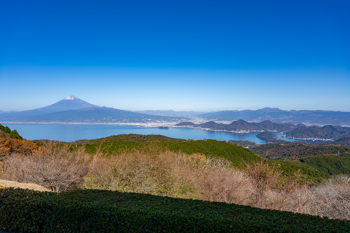 Fuji and Suruga Bay in late autumn as seen from the Daruma Plateau Observatory in Izu City, Shizuoka Prefecture
