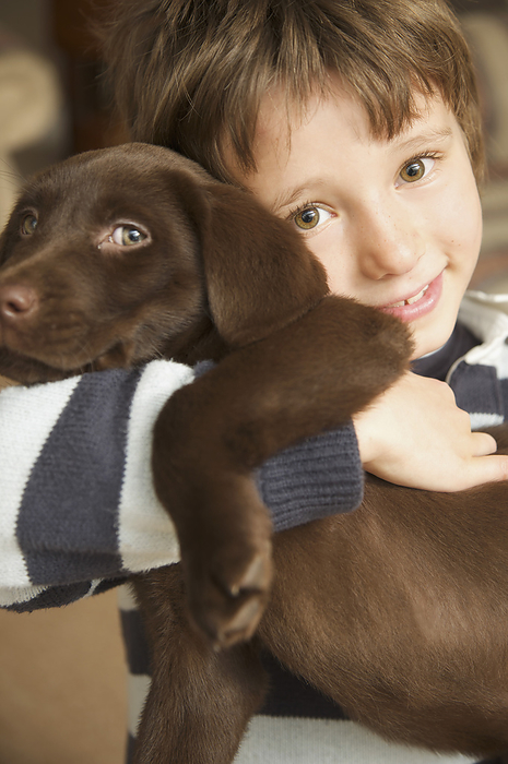Smiling boy hugging a chocolate labrador puppy, by Jutta Klee