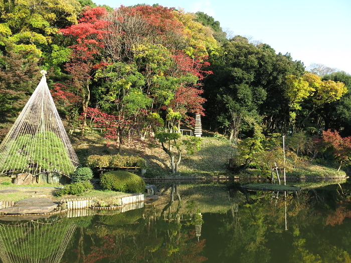 Higo Hosokawa Garden (large pond and 13-story pagoda) in Bunkyo Ward, Tokyo, with beautiful autumn leaves and snow hangings