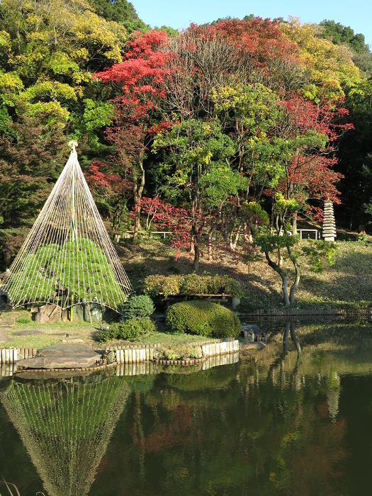 Higo Hosokawa Garden (large pond and 13-story pagoda) in Bunkyo Ward, Tokyo, with beautiful autumn leaves and snow hangings