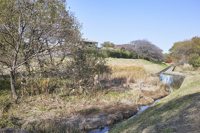 Fixed point photography in 2023 Kiyose City Four seasons and landscape change    10 times in total  Late November 2023 Kiyose City, Tokyo Kiyose Kanayama Regulating Pond