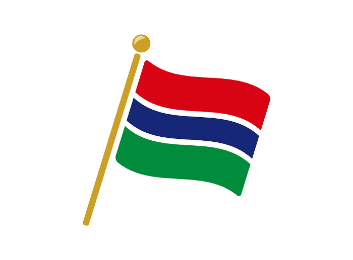 Gambia flag icon vector illustration