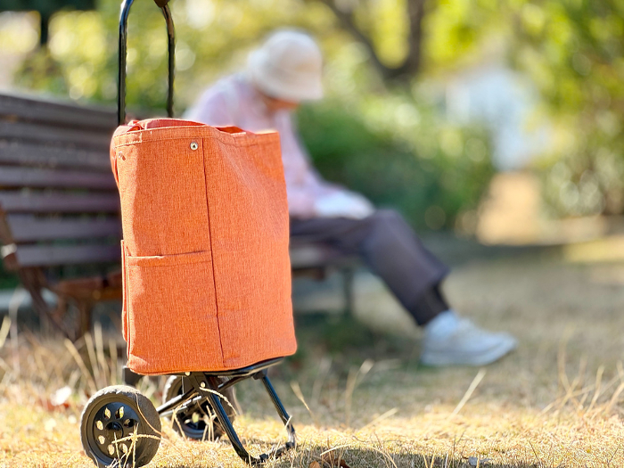 Elderly woman nodding off on a bench behind a shopping cart.