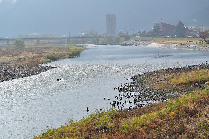 Chikuma River Chikuma City, Nagano Prefecture Upstream from Taisho Bridge
