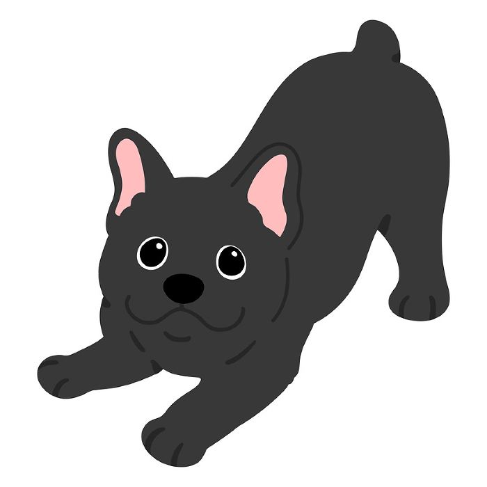 Clip art of simple and cute black french bulldog inviting you to play No main line.