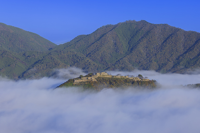 Sea of clouds over Takeda Castle seen from Tachi-unkyo Gorge, Hyogo Pref.