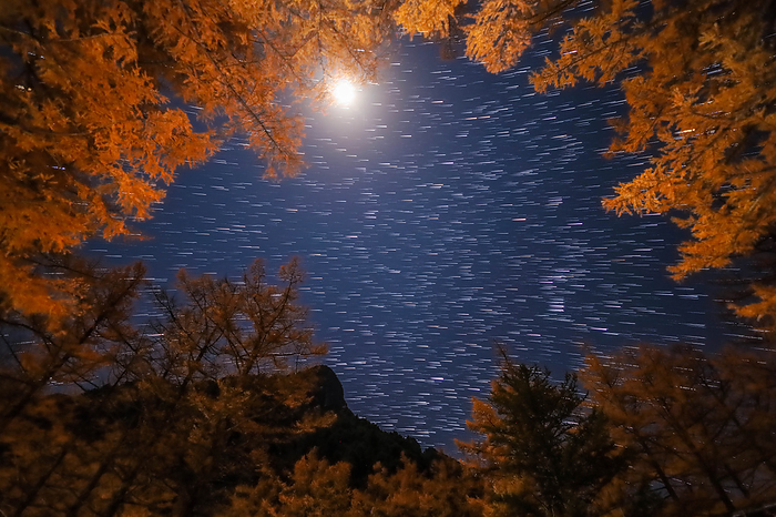 Kamikochi in Autumn: Trails of Stars, Moonlit Night