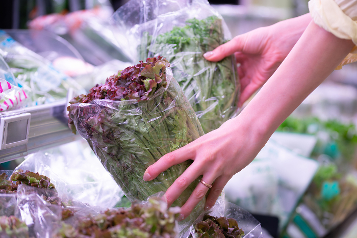 Woman's hand selecting sunny lettuce at supermarket