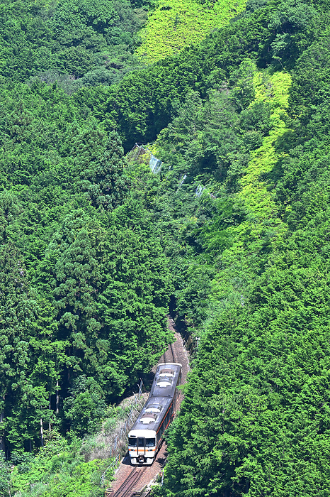 Kisei Main Line, Mie Prefecture, Japan: A Kiha 25 diesel train rounding a curve Taken at Umegaya Station   Kiinagashima Station