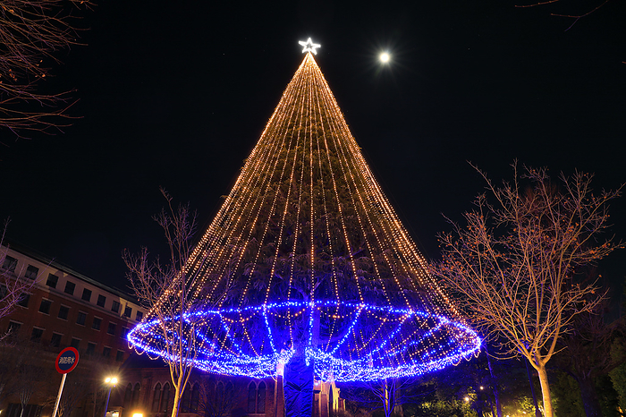 Christmas tree at Doshisha University, Kyoto, Japan