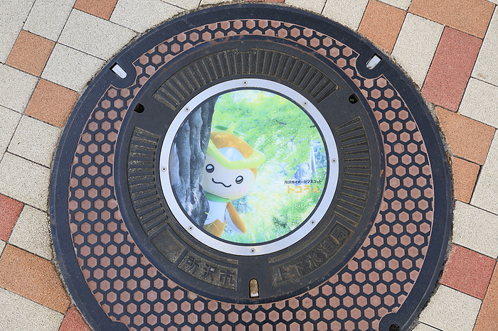 Manhole in Tokorozawa City, Saitama Prefecture