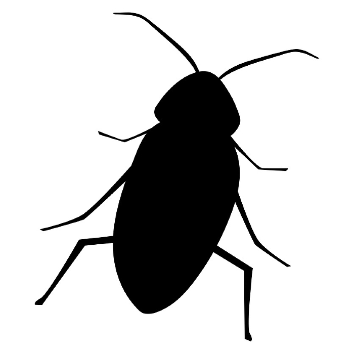 Silhouette Clip art of real cockroach