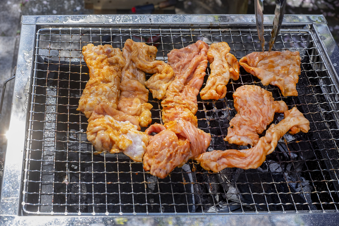 Grilling Hormones on a Barbecue Stove