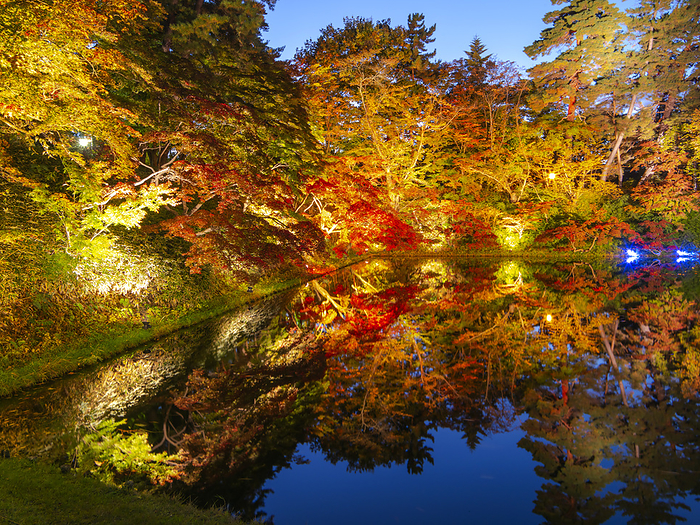 Autumn leaves in Hirosaki Park, Aomori