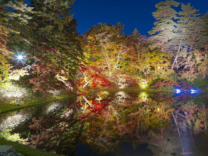 Autumn leaves in Hirosaki Park, Aomori
