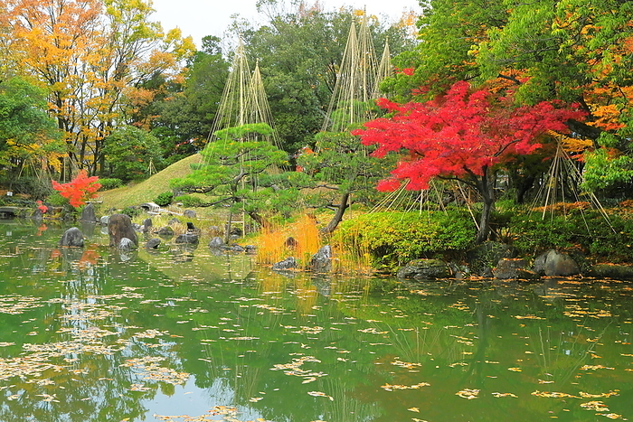 Yohkokan in Autumn Leaves Fukui City, Fukui Prefecture