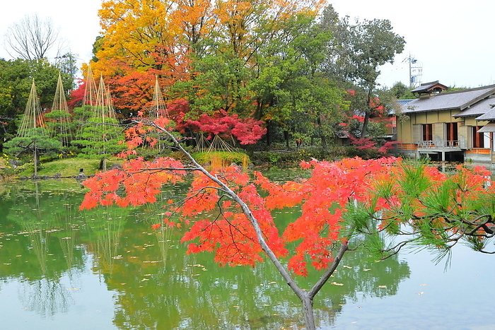Yohkokan in Autumn Leaves Fukui City, Fukui Prefecture