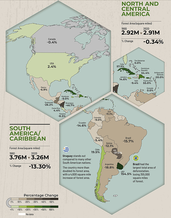 Changes in forest area in the Americas, illustration Infographic illustration showing the percentage change in forest area, measured in square miles, between 1990 and 2020 in the Americas. The majority of countries lost forest during this period. Deforestation is a major environmental concern. Increased greenhouse gas emissions, loss of biodiversity and adverse effects on indigenous communities are a few of its consequences., by VISUAL CAPITALIST SCIENCE PHOTO LIBRARY