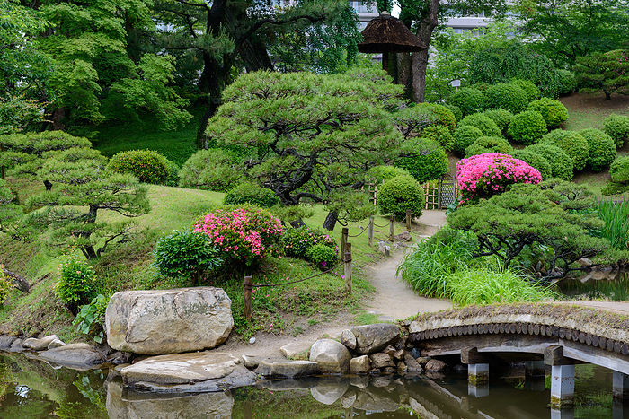 Shukkeien Garden in fresh green, Hiroshima City
