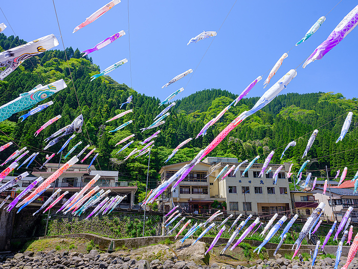 Carp streamers of the hot spring 