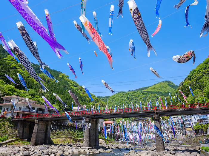Carp streamers of the hot spring 