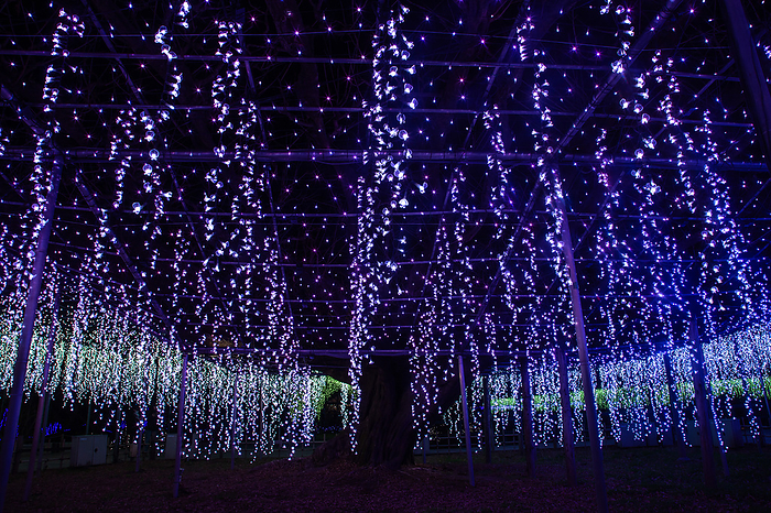 Ashikaga City, Tochigi Prefecture Illumination