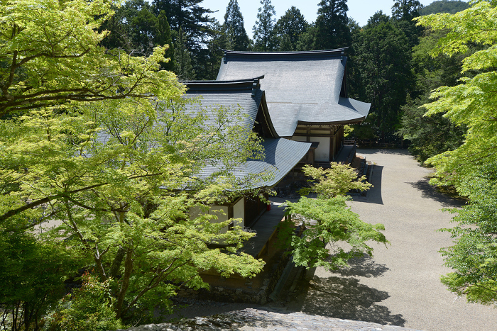 Jingo-ji Temple Godaido and Bishamondō Hall in fresh green Takao, Ukyo-ku, Kyoto
