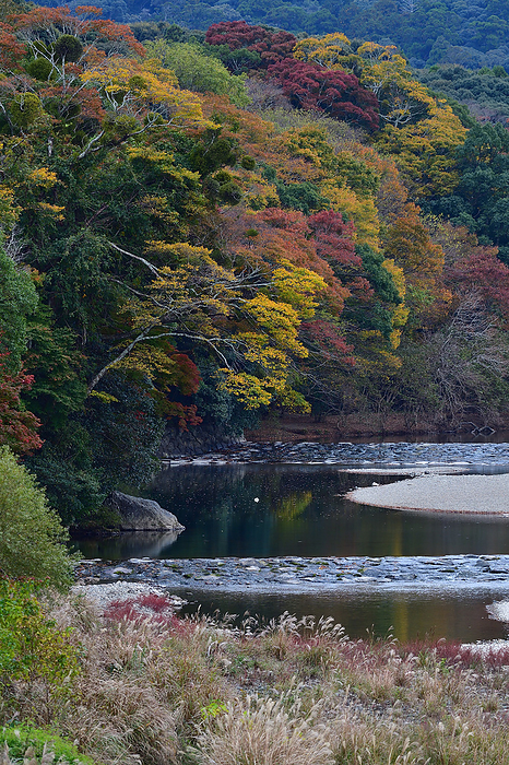 Isuzu River, Oharaicho riverbank 24th day of the month November, Risshuu