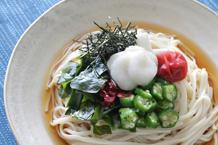 Summer Chilled Zaru Udon Noodles