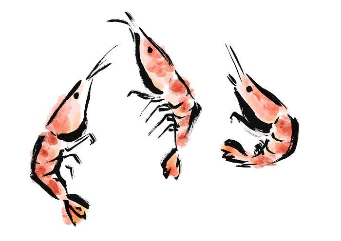 Japanese hand-drawn illustration of a shrimp jumping