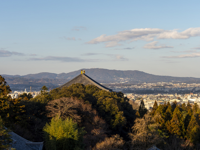 The roof of the Great Buddha Hall of Todaiji Temple and the cityscape seen from Nigatsudo