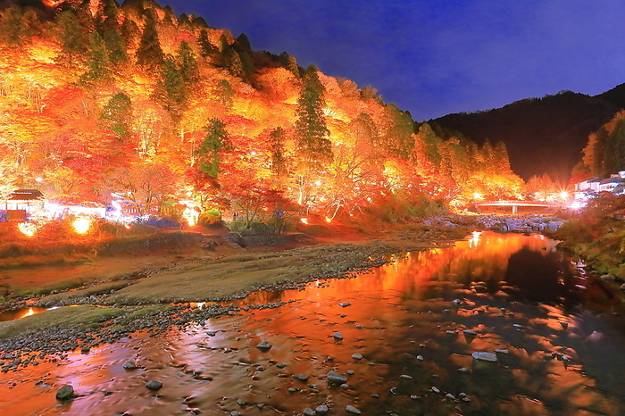 Illuminated Autumn Leaves at Korankei, Toyota City, Aichi Prefecture