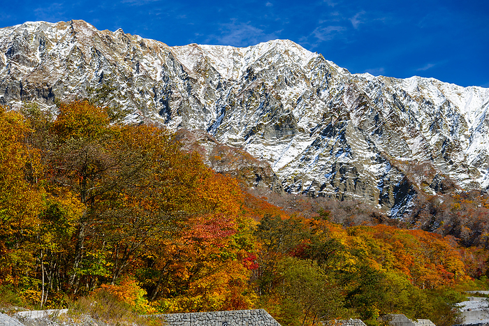 South wall of Mt. Daisen in autumn leaves Kofu Town Tottori Pref.