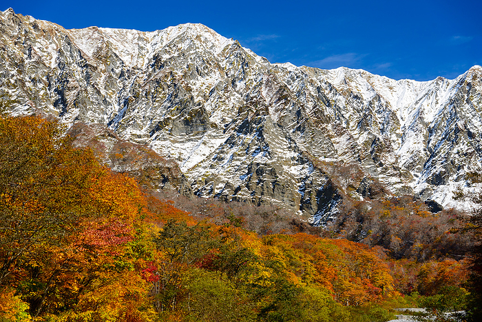 South cliff of Mt. Daisen in autumn leaves, Efu Town, Tottori Pref.