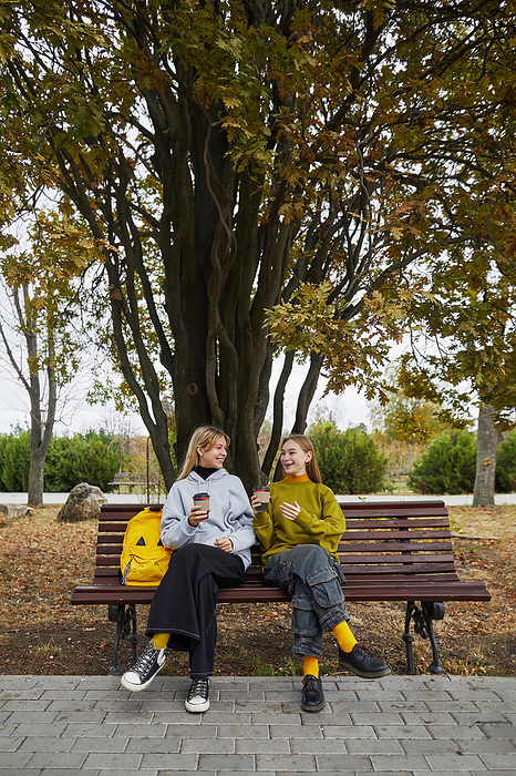 happy young girls with drinks talking in the park on a bench, by Cavan Images / Elena Perevalova