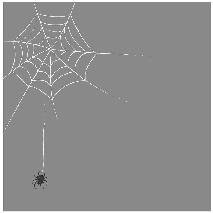 Clip Art of Spider Gray Background