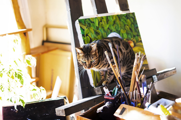 Bengal cat in the atelier
