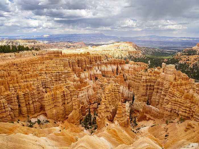 Red rock formations known as hoodoos in Bryce Canyon National Park, Utah, United States of America, North America Red rock formations known as hoodoos in Bryce Canyon National Park, Utah, United States of America, North America, by Michael Nolan