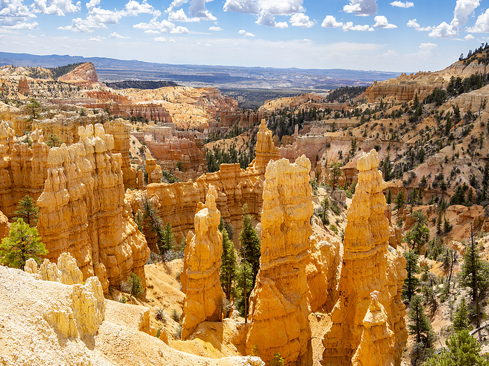Red rock formations known as hoodoos in Bryce Canyon National Park, Utah, United States of America, North America Red rock formations known as hoodoos in Bryce Canyon National Park, Utah, United States of America, North America, by Michael Nolan