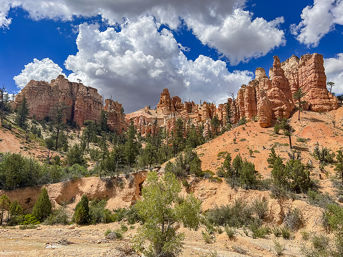 A view from the Mossy Cave Trail of red rock and hoodoos, Bryce Canyon National Park, Utah, United States of America, North America A view from the Mossy Cave Trail of red rock and hoodoos, Bryce Canyon National Park, Utah, United States of America, North America, by Michael Nolan