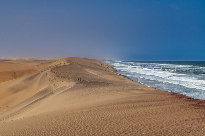 Sand dunes along the Atlantic coast, Namibe  Namib  desert, Iona National Park, Namibe, Angola, Africa Sand dunes along the Atlantic coast, Namibe  Namib  desert, Iona National Park, Namibe, Angola, Africa, by Michael Runkel
