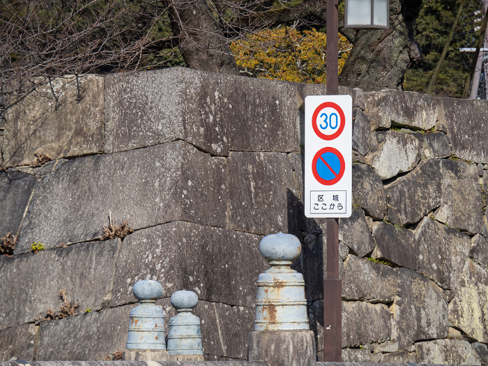 Zone 30 related signs. (Hikone City, Shiga Prefecture)