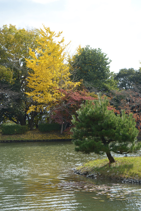 Autumn leaves of Daikakuji Temple, Osawa Pond, Saga, Ukyo-ku, Kyoto