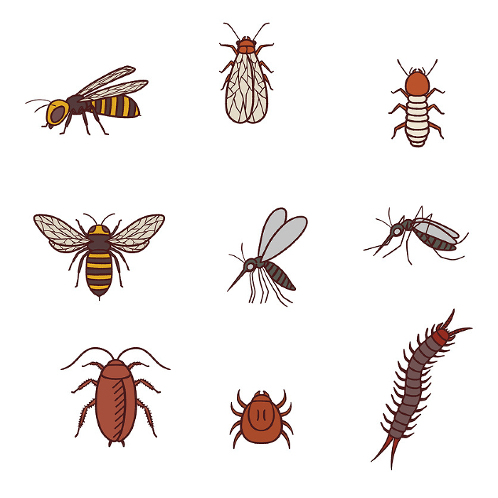 Realistic pest illustration set including bees, cockroaches, mites, etc.