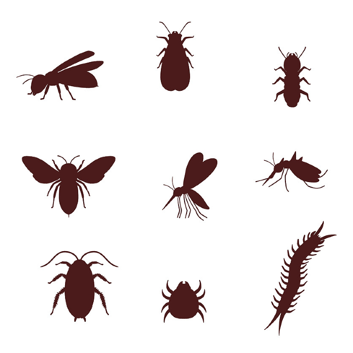 clip art set of realistic pests such as cockroach, bee, mite, etc.