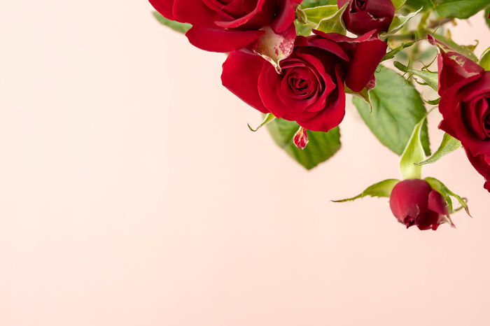 Image of a rose gift in a vase